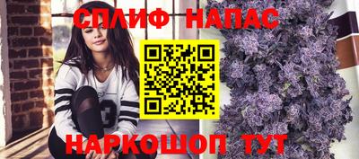 СК Конаково