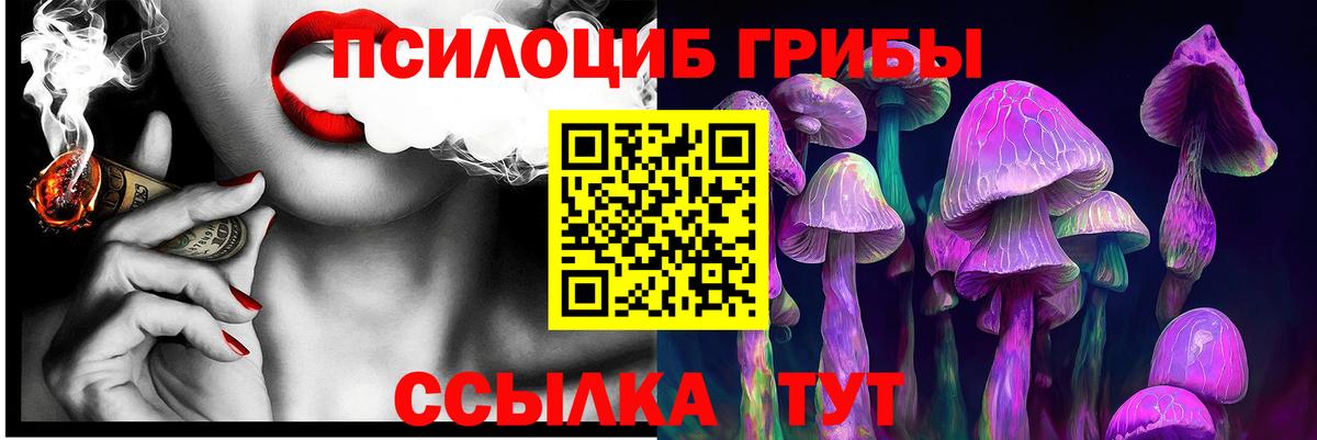 Псилоцибиновые грибы прущие грибы Старая Купавна